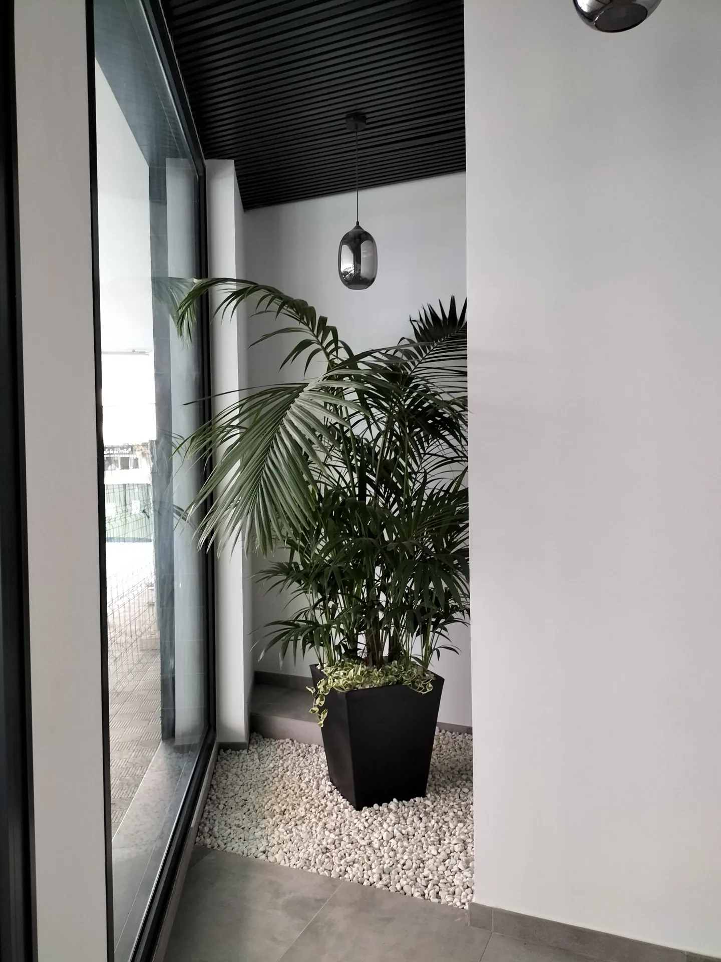 La Trinidad · Vista 4